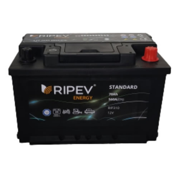 Picture of BATTERY RIPEV ENERGY 70Ah D 12V 290X175X175	