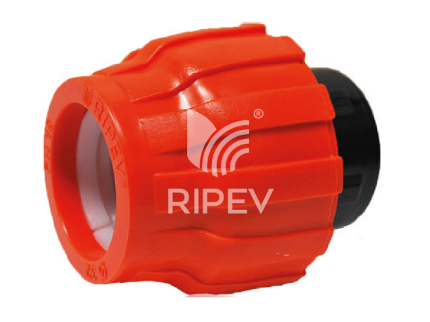Imagen de Tapón Final  25mm RIPEV 