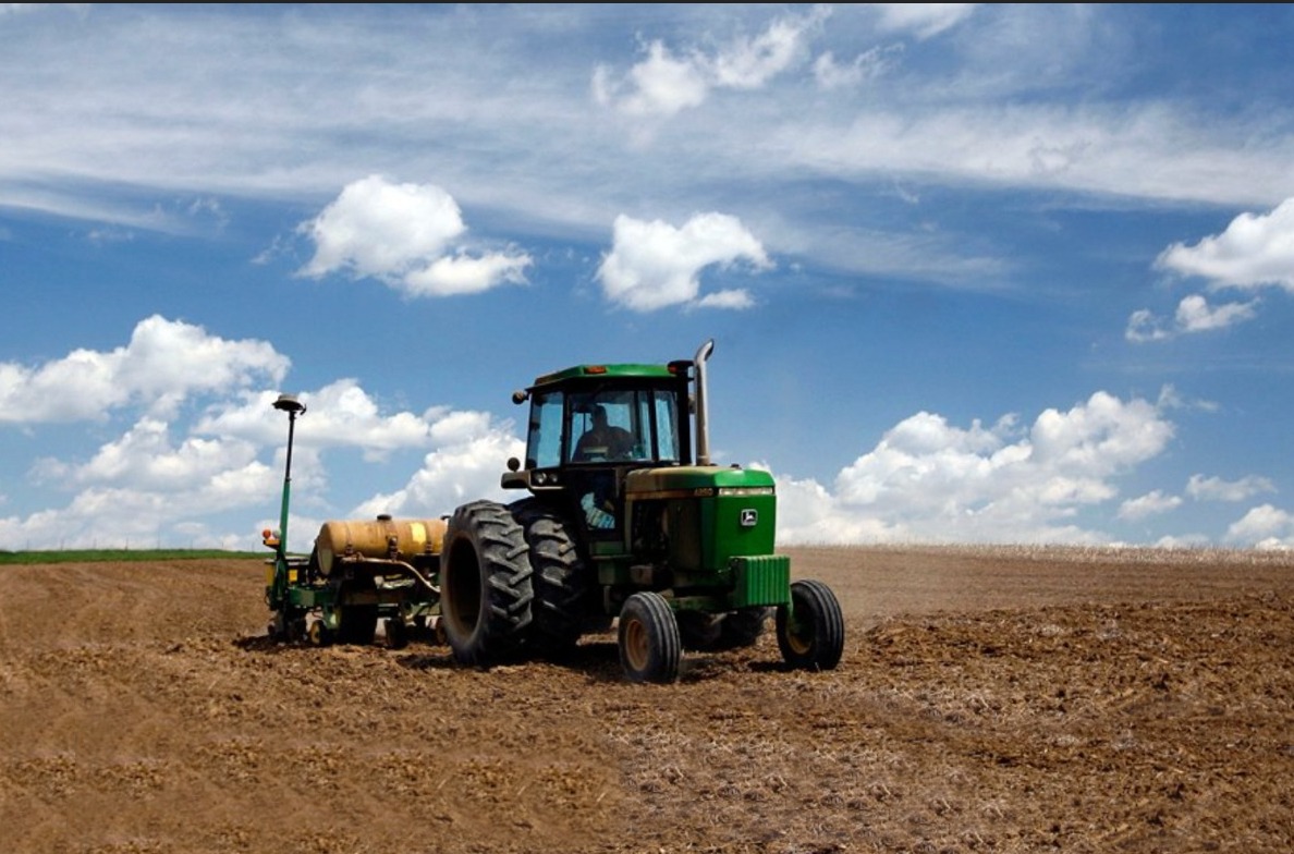 Imagem para a categoria AGRÍCOLAS