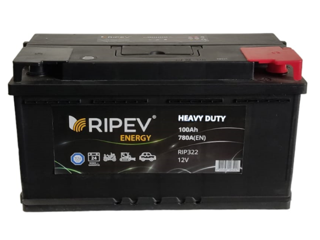 Imagen de BATERIA RIPEV ENERGY 100Ah 						