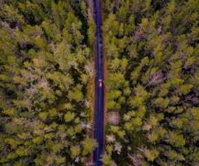 Imagem para a categoria Auto