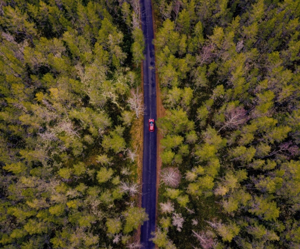 Mostrar produtos na categoria Auto Imagem para a categoria Auto
